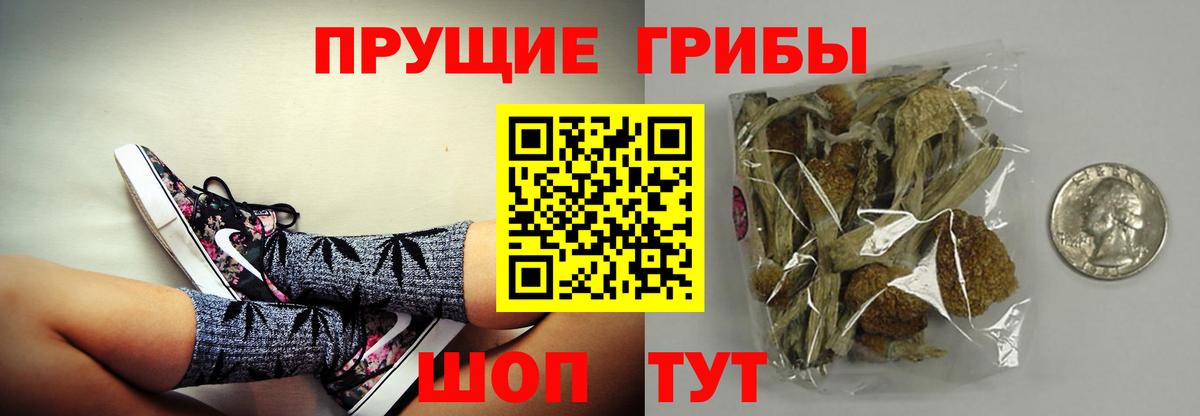 Тихвин  Псилоцибиновые грибы Psilocybine cubensis  Вход с VPN 
